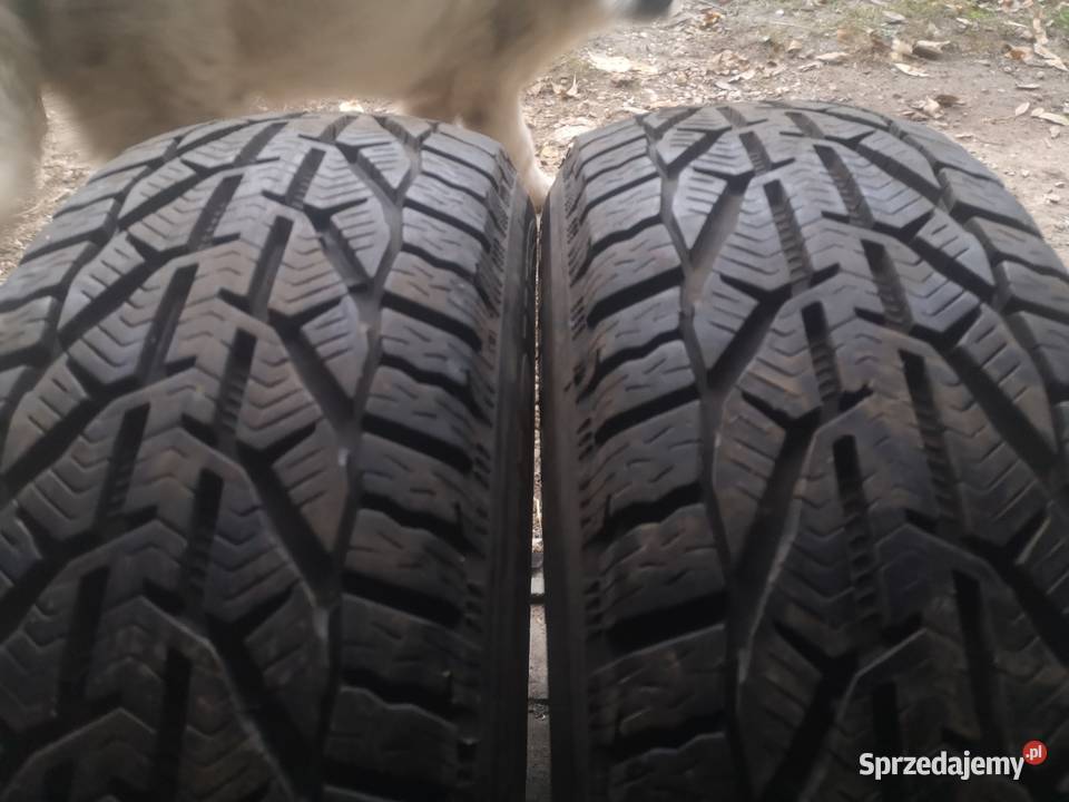 Opony zimowe 1856515 Jędrzejów