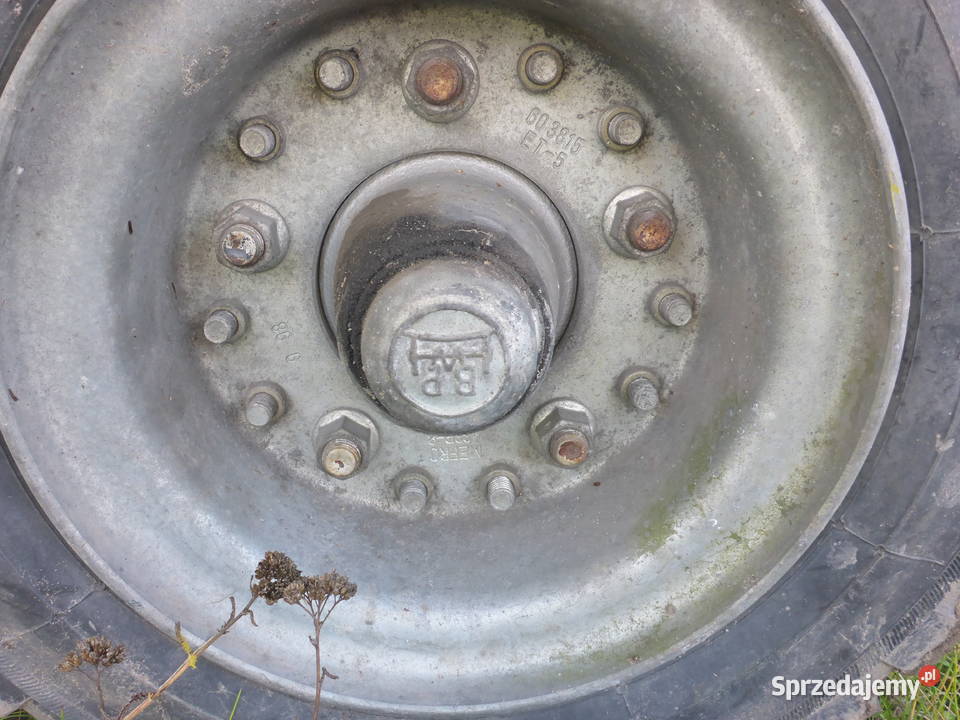 przyczepa NISKA 450 x 220 ocynkowana Radom