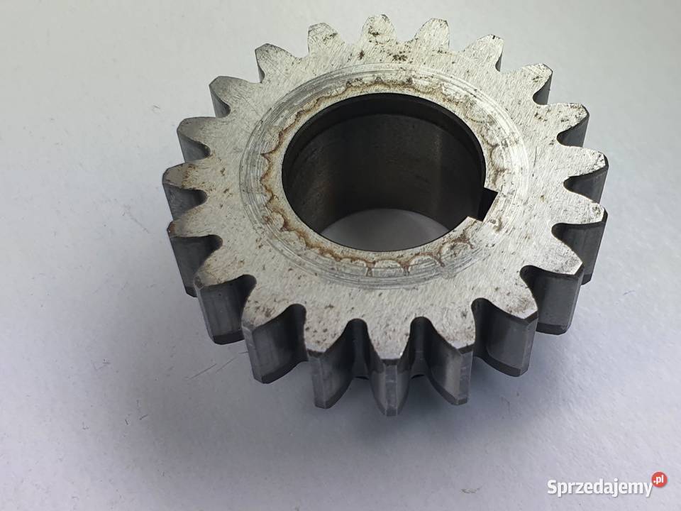 Tryb Walu Zebatka Tm Mx 250 łódzkie