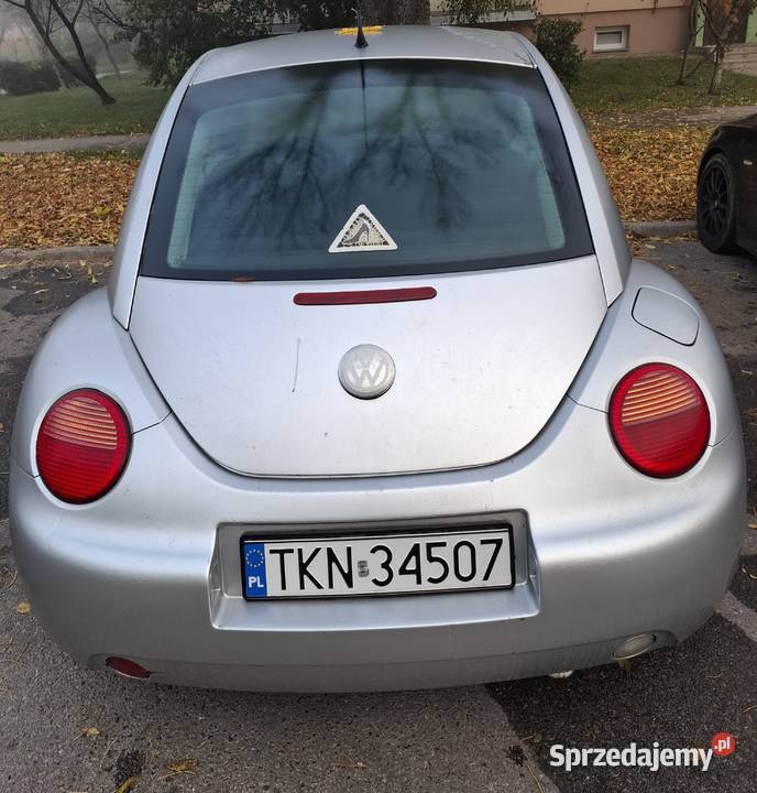 Beetle Beetle świętokrzyskie Ostrowiec Świętokrzyski