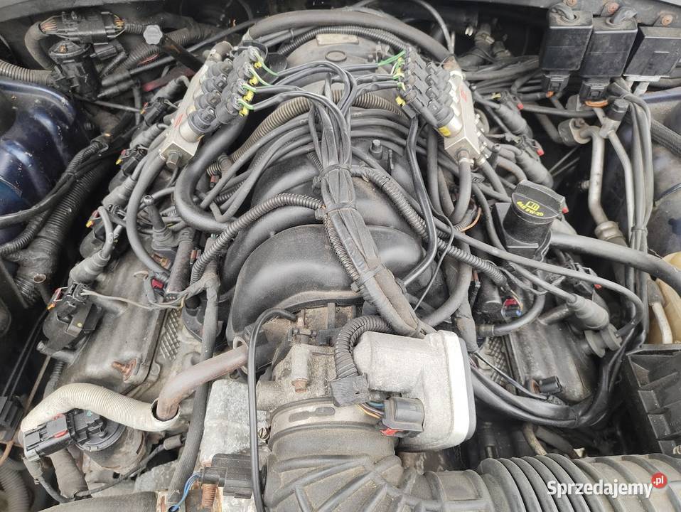 Silnik Chrysler 300c 57 Hemi Uszkodzona Silniki i osprzęt Pleszew sprzedam