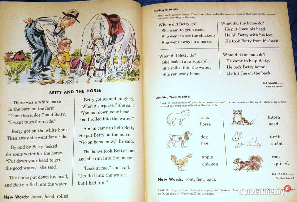 Up and Away 1 W H Butron C B Baker G K Kemp lubelskie Chełm sprzedam