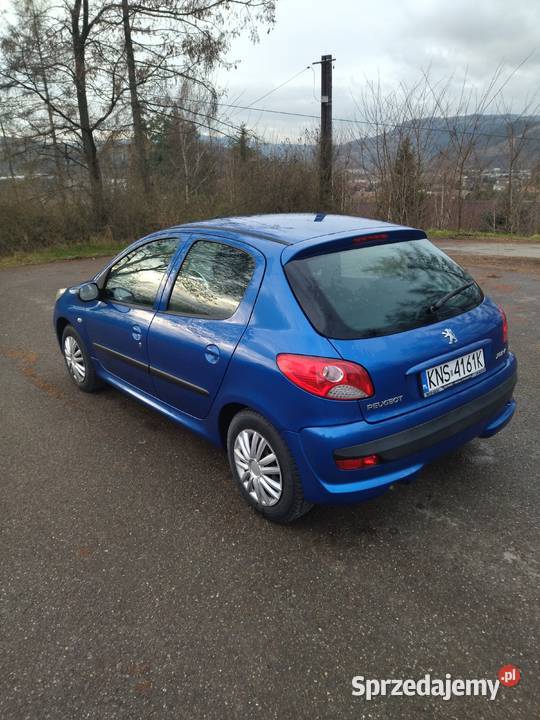 PEUGEOT 206 PLUS 206 plus Wielogłowy
