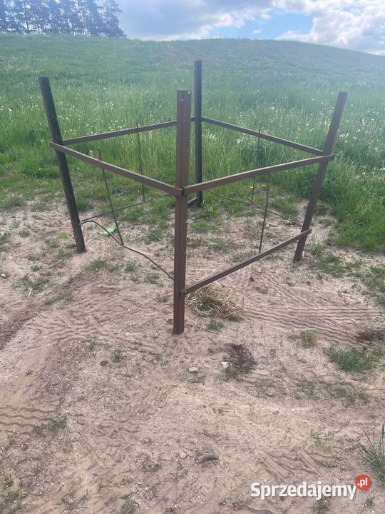 Paśnik do bydła krów cielaków Mrągowo