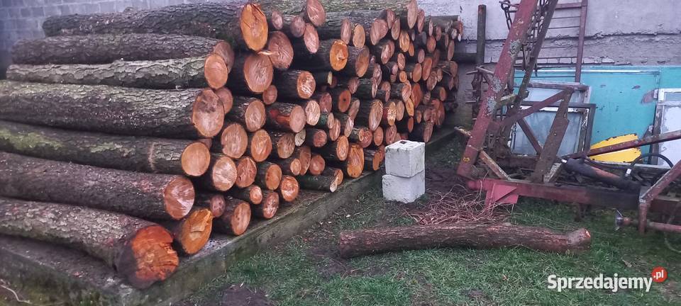 Drzewo na opał mazowieckie Purzyce-Rozwory