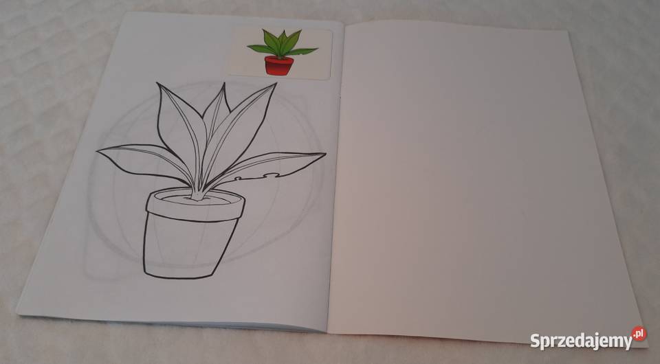 Mój tornister Polkart Kolorowanki Książeczki śląskie