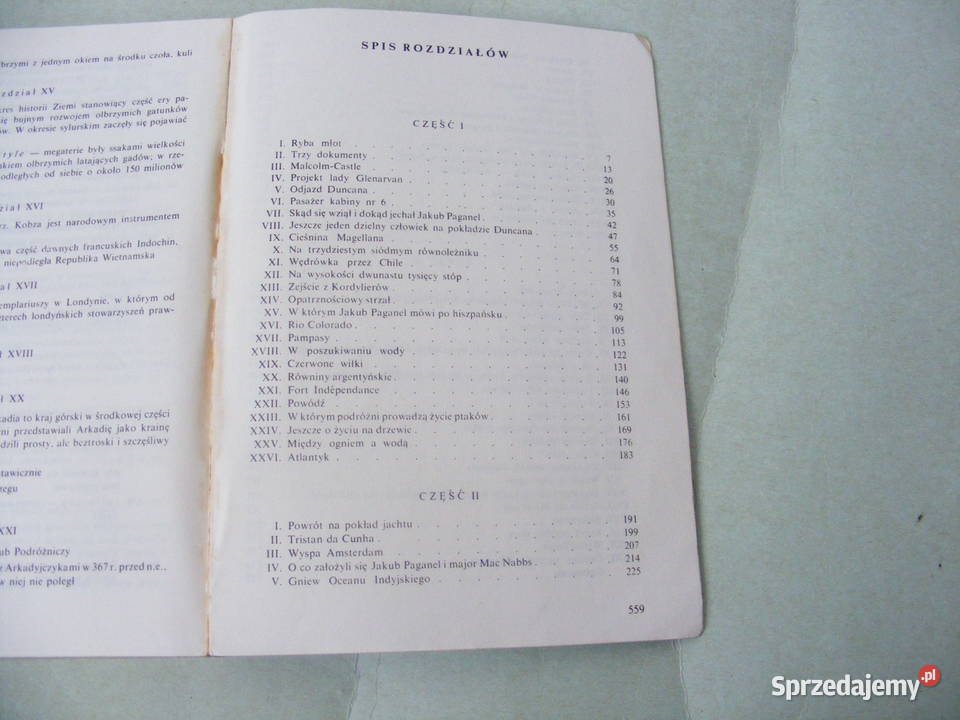 Dzieci kapitana Granta Robur Zdobywca Pan Świata dolnośląskie Oborniki Śląskie sprzedam