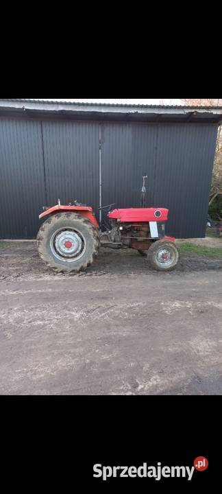 Ciągnik ferguson ursus zetor Gąbin sprzedam