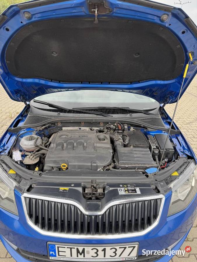 Skoda Octavia 16 TDI Ambition Tomaszów Mazowiecki