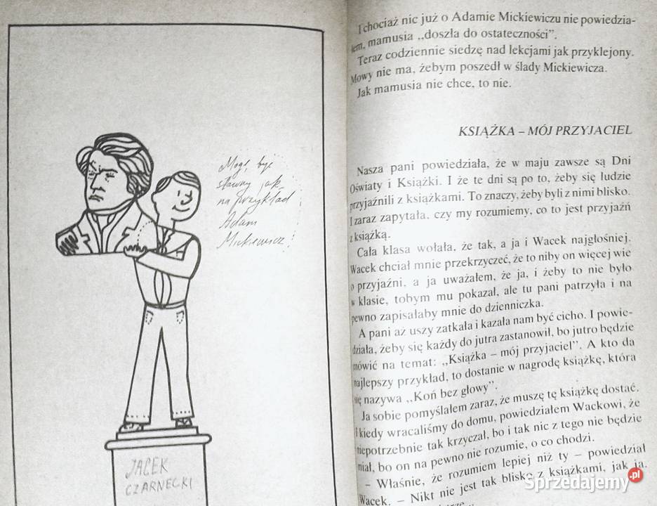 Chłopak na opak Hanna Ożogowska sprzedam