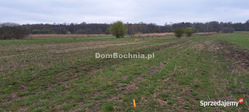 Działka Jodłówka 8587m2 26m