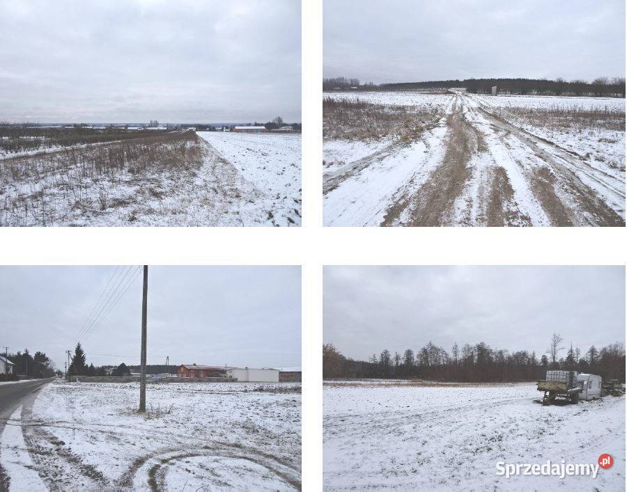 Syndyk sprzeda siedlisko Borowe