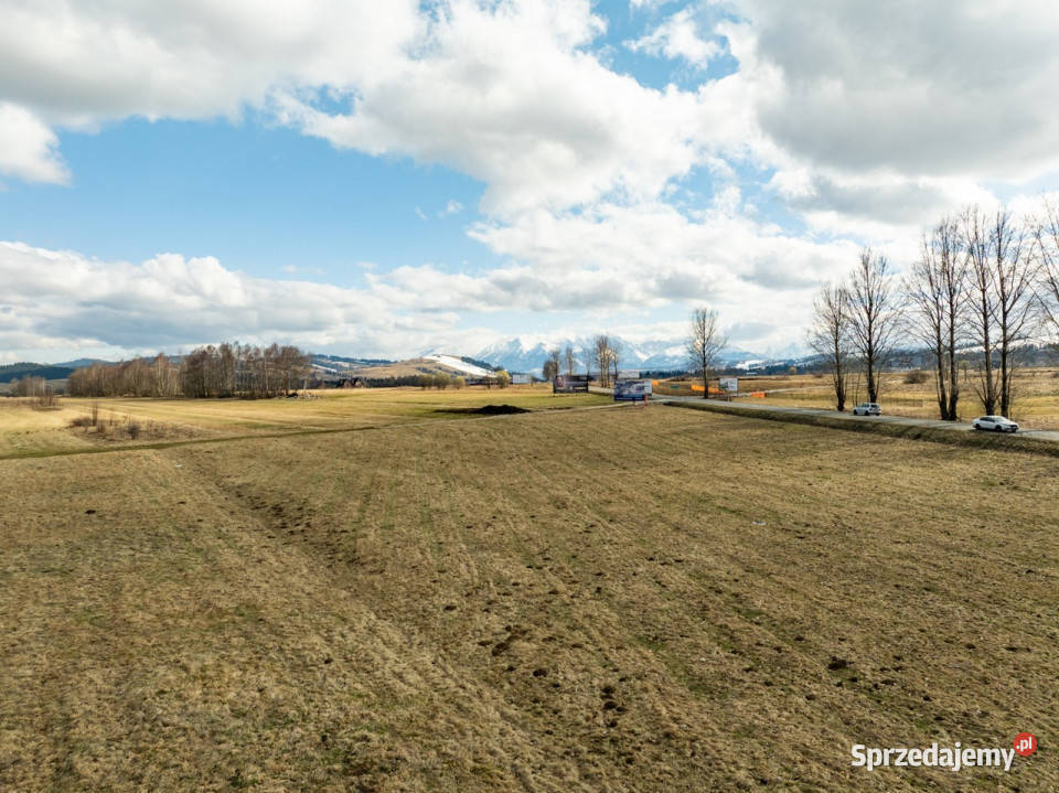 NA SPRZEDAŻ DZIAŁKA ROLNA GROŃ 5433m2 Groń
