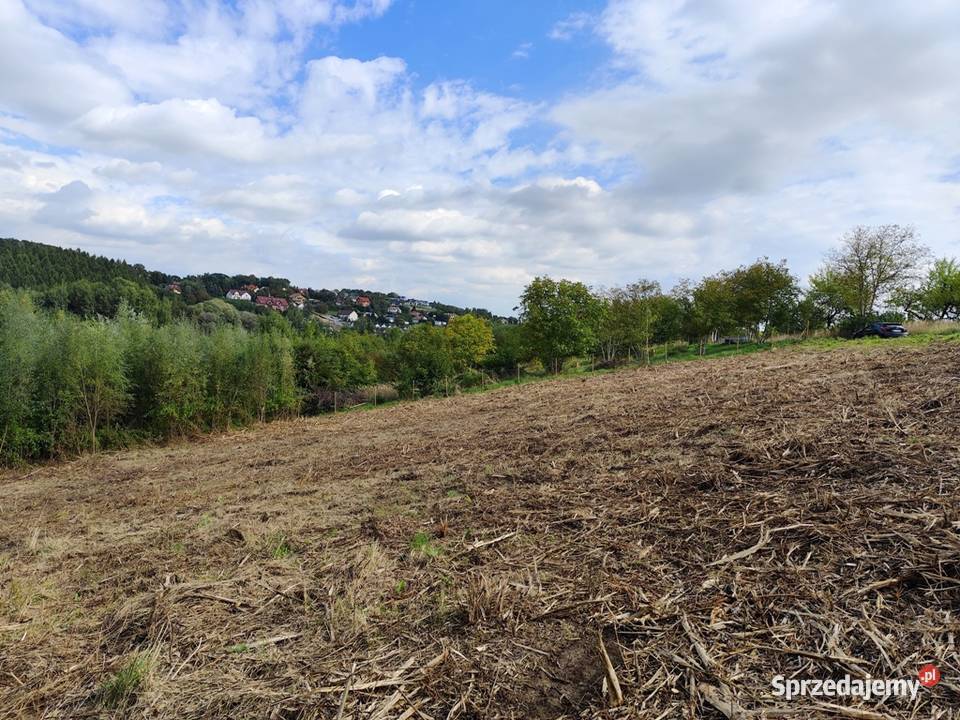 Działka 53a MPZP Kraków Podgórze Swoszowice 100m