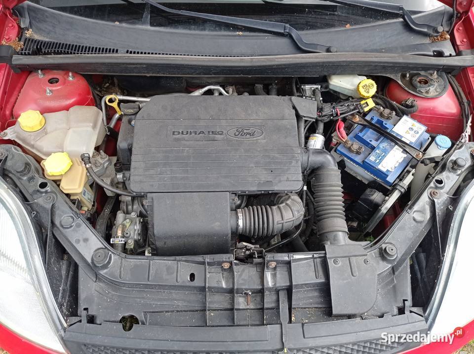Ford Fiesta 13 44 kW 2005 r dawca części Szklarka Myślniewska