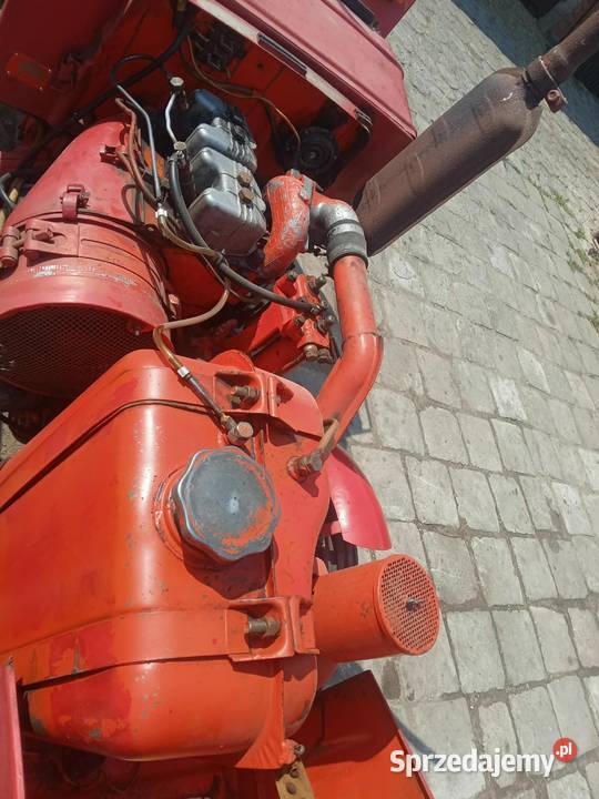 Sprzedam t25 Gęś