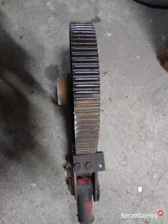 Koło zapadkowe rozrzutnika kuhn Mistów