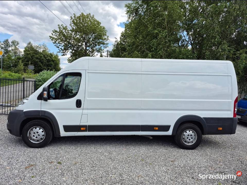 Citron Jumper Super Stan l4h2 Maxi Z Niemiec Kazimierz Dolny