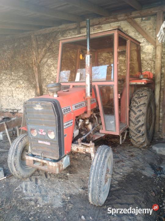 ciągnik rolniczy Massey Ferguson 255 MF255 Gidle