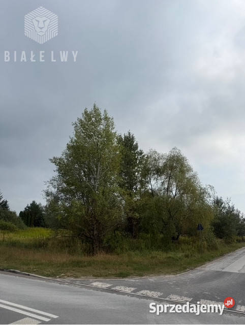 Ogłoszenie grunt Łoziska 2500m2 Sprzedaż