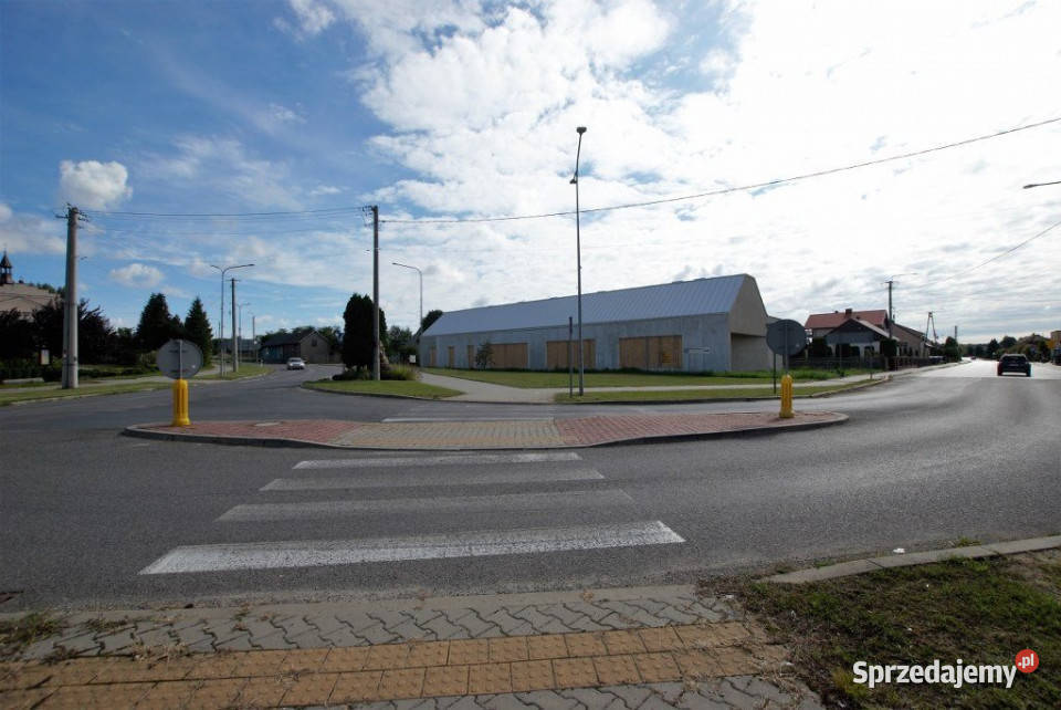 Lokal sprzedam 39593m2 Krasocin Lokale użytkowe sprzedam