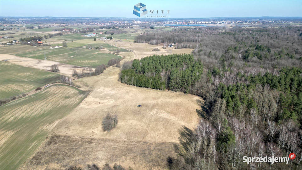 Działka Jędrychówko 7979m2 Sprzedaż warmińsko-mazurskie