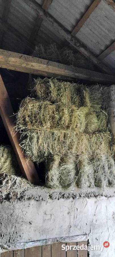 Siano w kostkach Rusiec