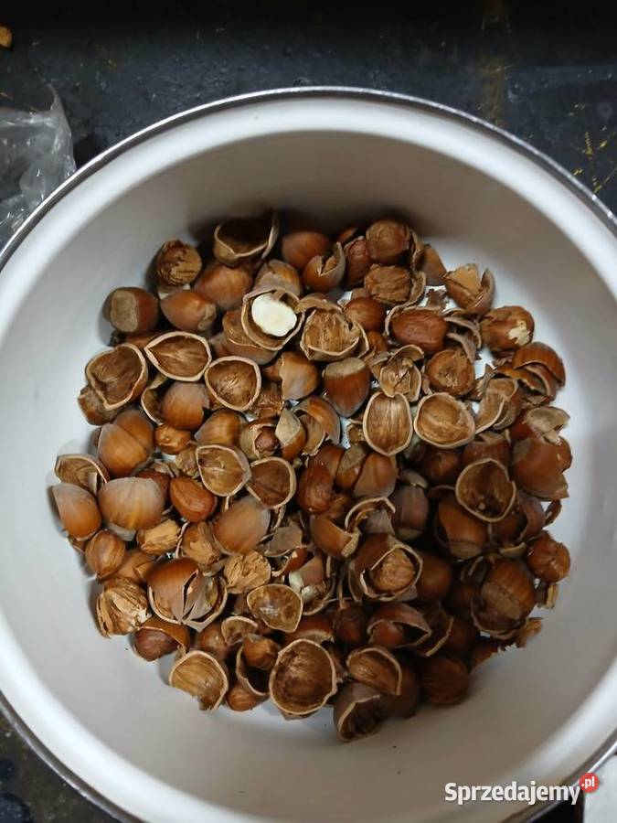 Łuparkałuskarka do orzechów Pruchnik