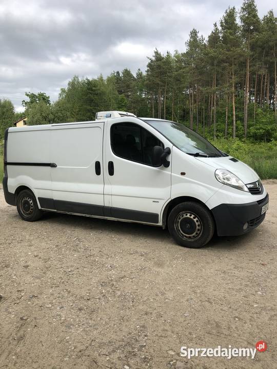Renault traffic opel vivaro chłodnie 3 Gdynia