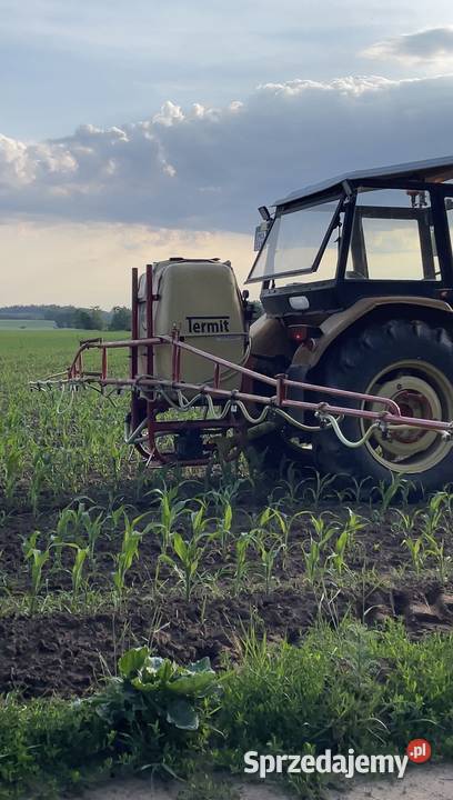 Pilmet Termit nieuszkodzony Blizanów