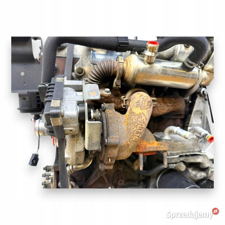 SILNIK QYWA Ford Galaxy II MK2 S S 18 TDCI 125 Chełm