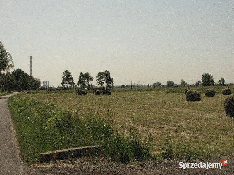Sprzedaż działka budowlana 910 ar Dobrzeń Wielki