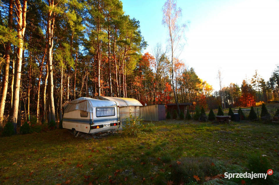 sprzedaży działki 594m2 Majdan Zahorodyński 20m sprzedam