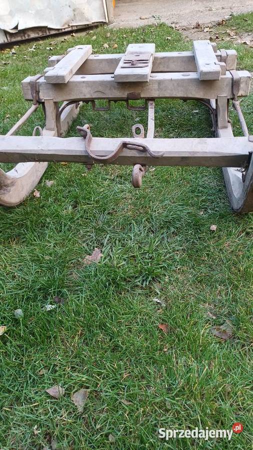 Sannie konne Pozostałe Belno