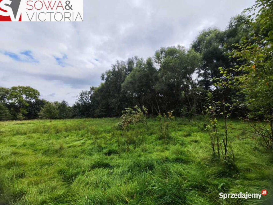 Ciekawa działka budowlana w otulinie drzew asfalt dolnośląskie