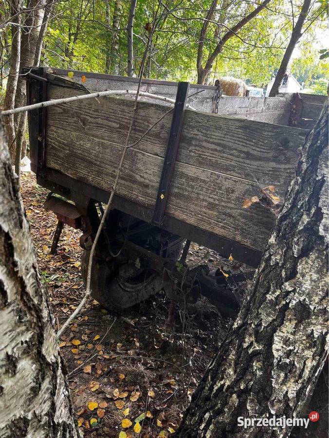 Przyczepa 2 osiowa do poprawek uszkodzony Biecz