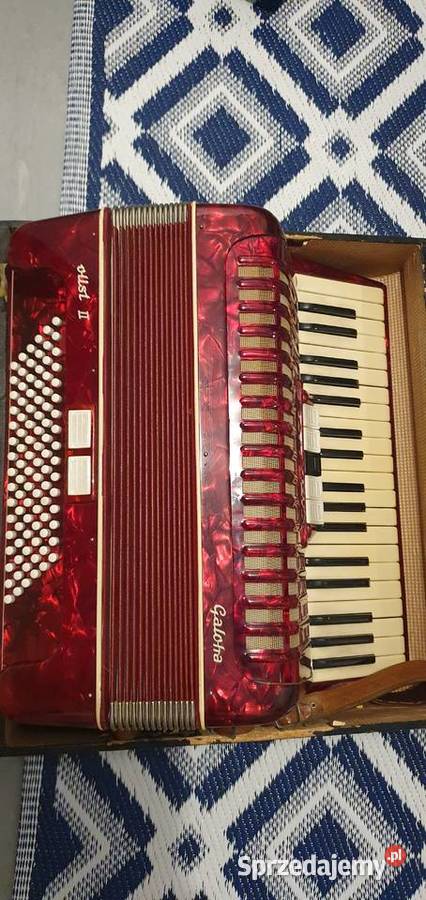 Akordeon Galotta 96 Basy lubelskie Szczebrzeszyn