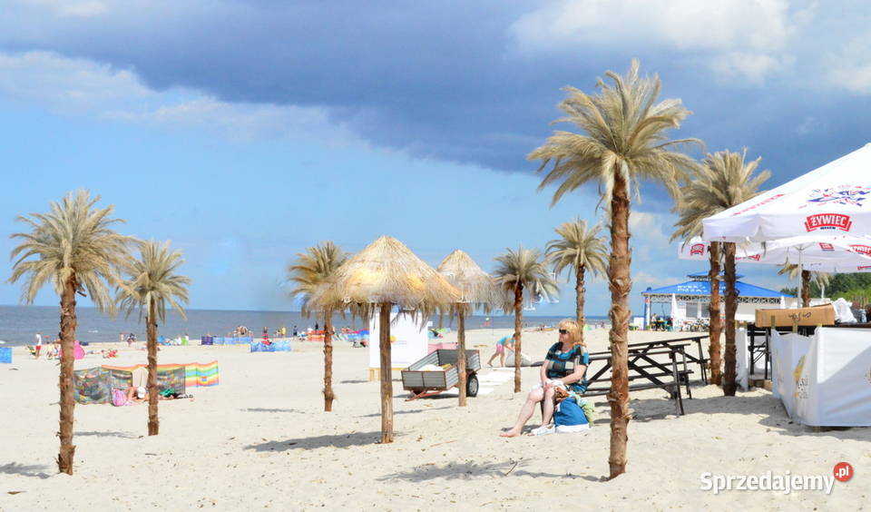 Palma sztuczna Sztuczne drzewka 25m kujawsko-pomorskie Wąbrzeźno