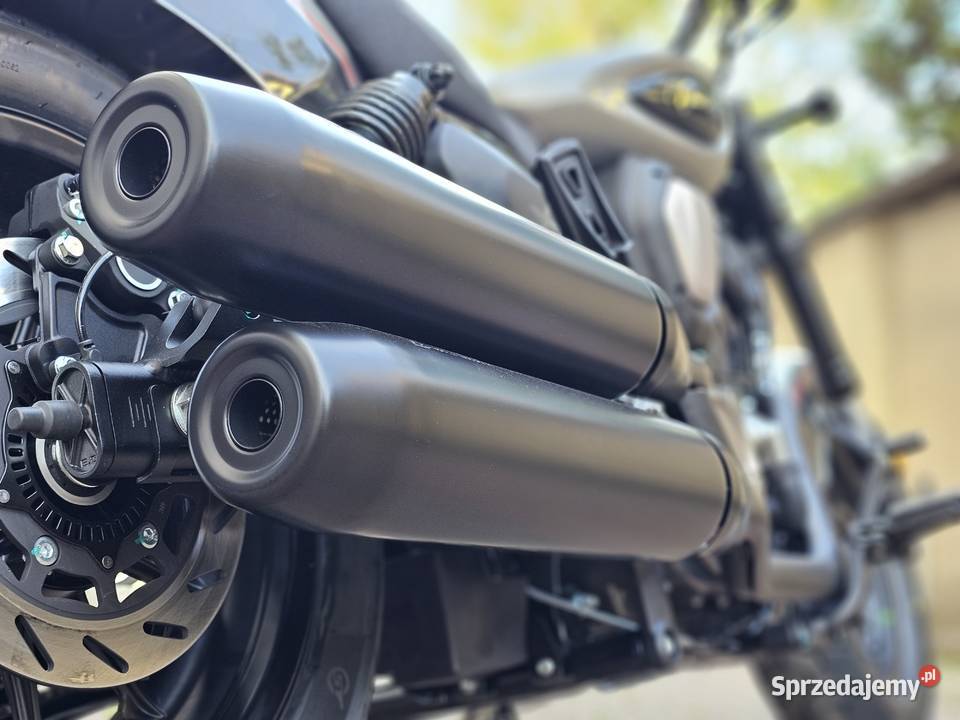 Benda Chinchilla 500 Benda Kobyłka