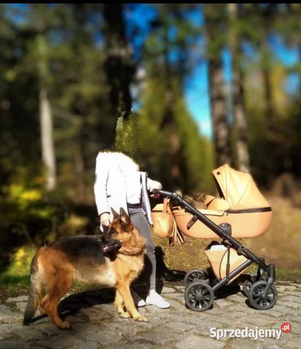 Anex E Wózek gondola spacerowy nosidło 3 w 1 Wielofunkcyjne Świebodzice