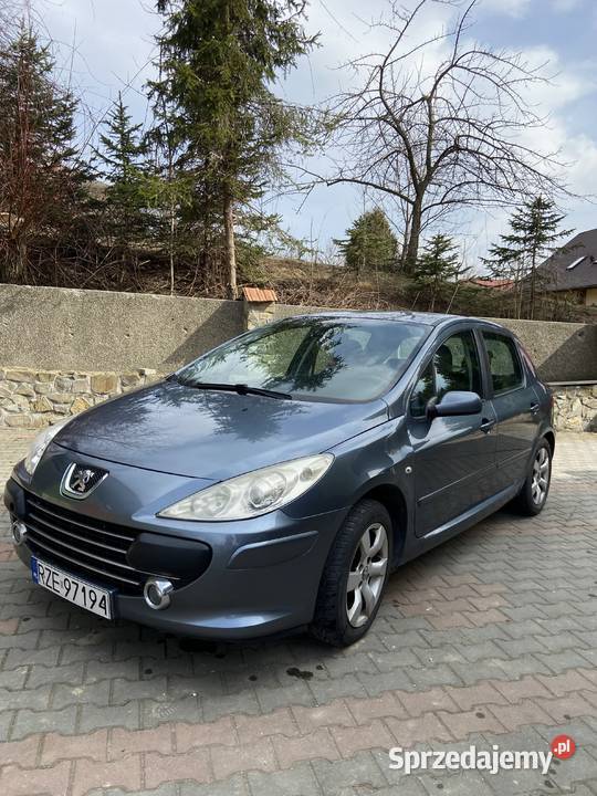 Peugeot 307 16 disel HDI 80KM podkarpackie Rzeszów