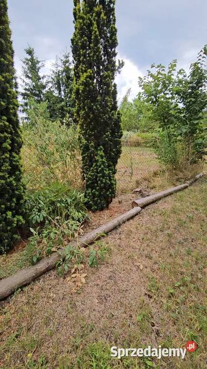 Działka ROD Bajka Żagań 450 m wlasne wejście