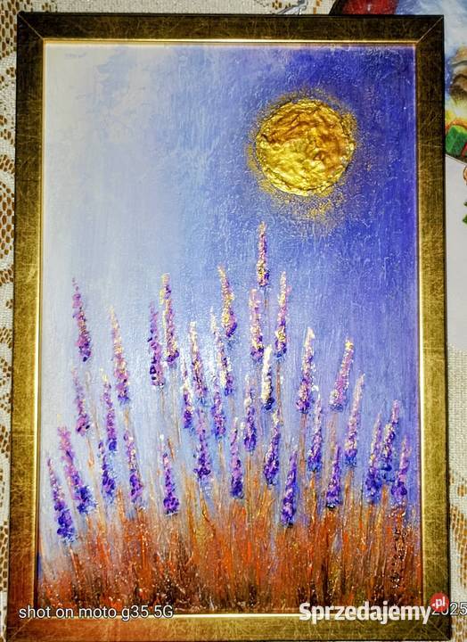 Łubiny pod księżycem Bychawka Trzecia