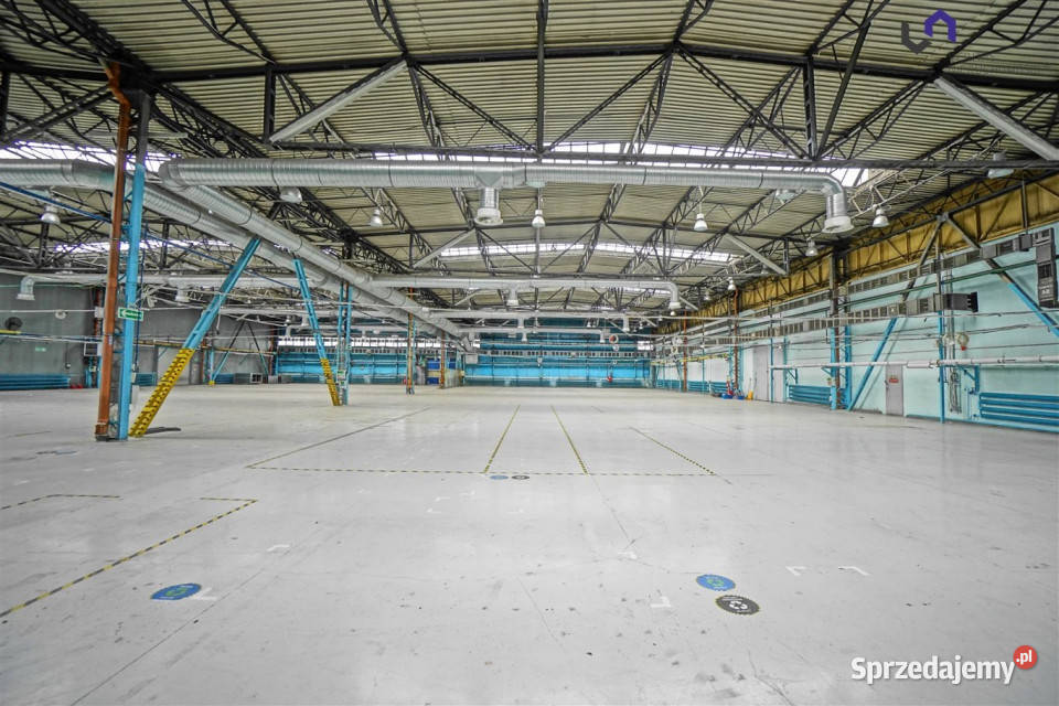 Lokal 6100m Mikołów sprzedam