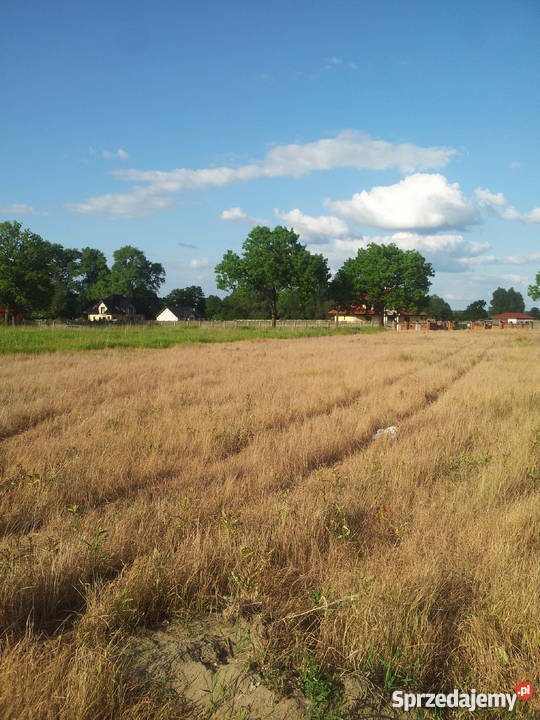 Działki budowlane w Witkowie koło Stargardu 1182m2 Witkowo Drugie sprzedam