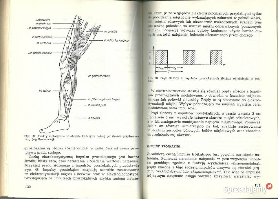 Fizykoterapia podręcznik medycyna fizjoterapia medycyna, nauki medyczne Kultura i Rozrywka łódzkie Łódź