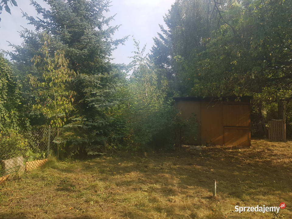 Mega Promocjia do niewielkiej negocjacji Warszawa