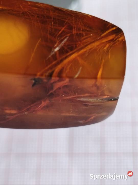 Bursztyn Inkluzja Roślinna Pozostałe podlaskie Białystok