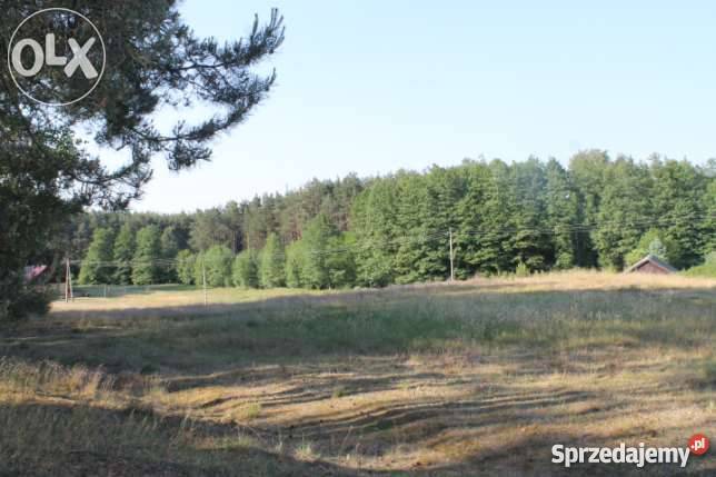 działka budowlana kasparus Kasparus