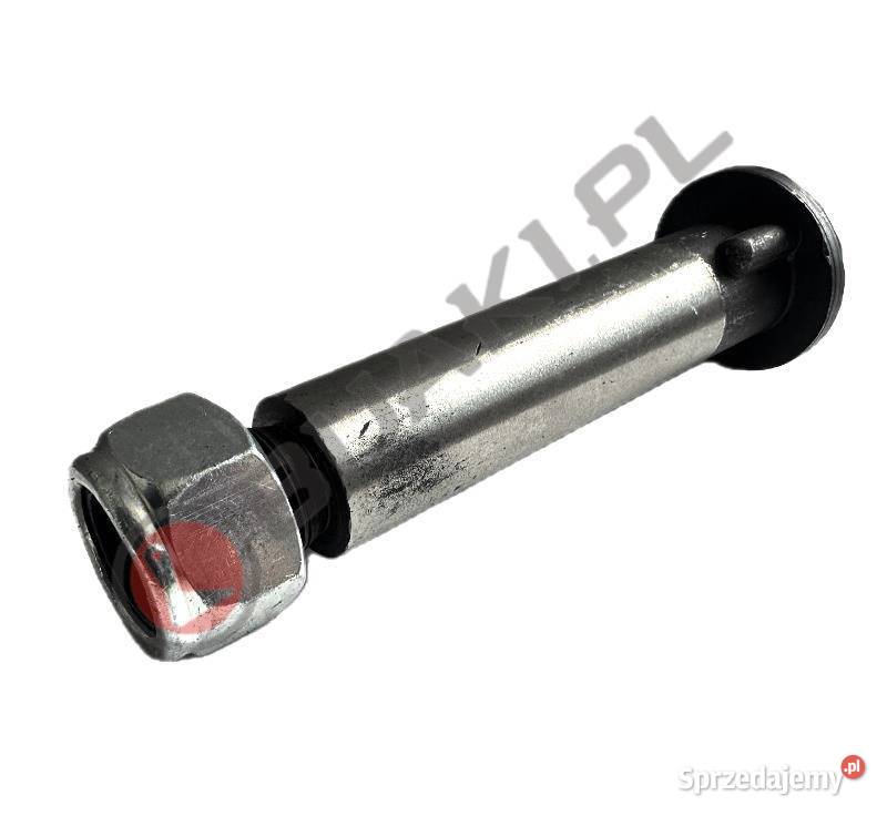 Śruba specjalna do bijaków ST119 TMC Cancela TMS Chmielniki